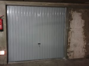 Porte de garage à la couleur